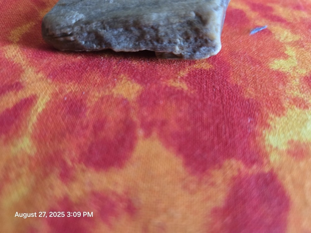 petrified wood
