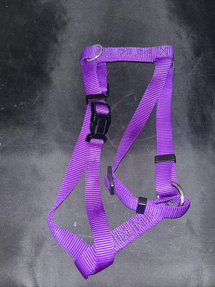 Purple Medium Harness