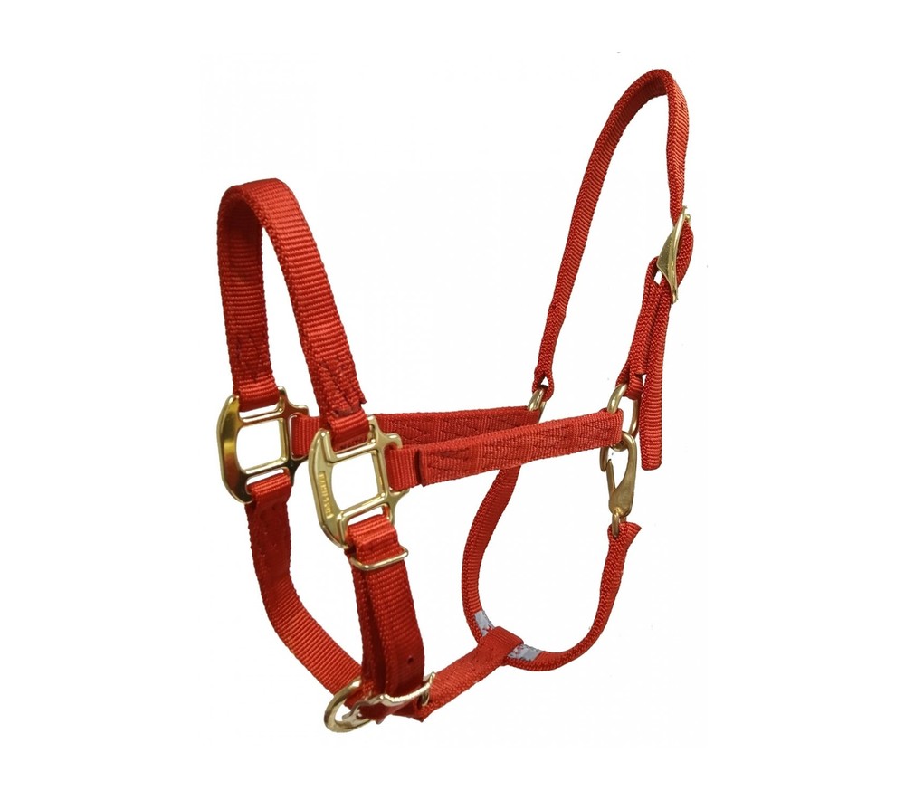 Hamilton Quality 3/4" Nylon Adjustable Halter With Snap