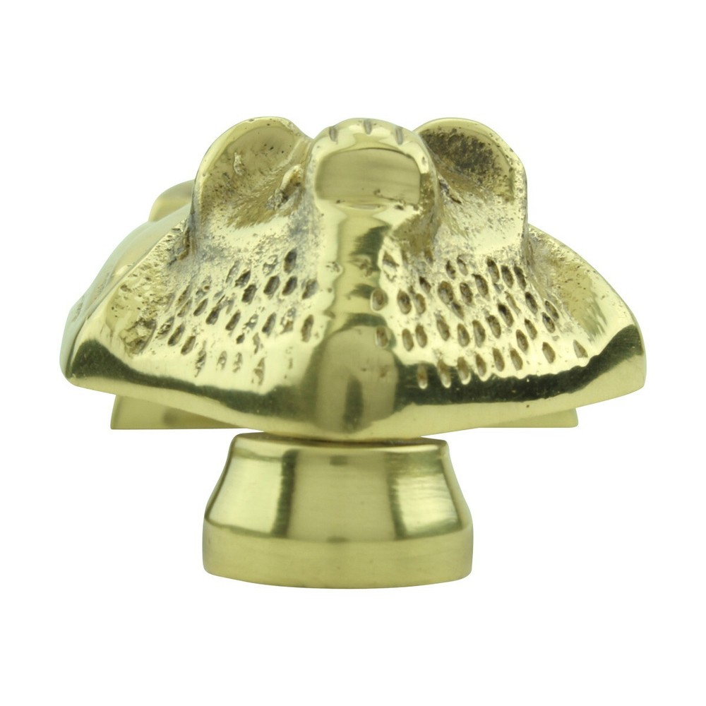 Solid Brass Vampire Bat Gothic Style Door Knocker with Lacquer Finish