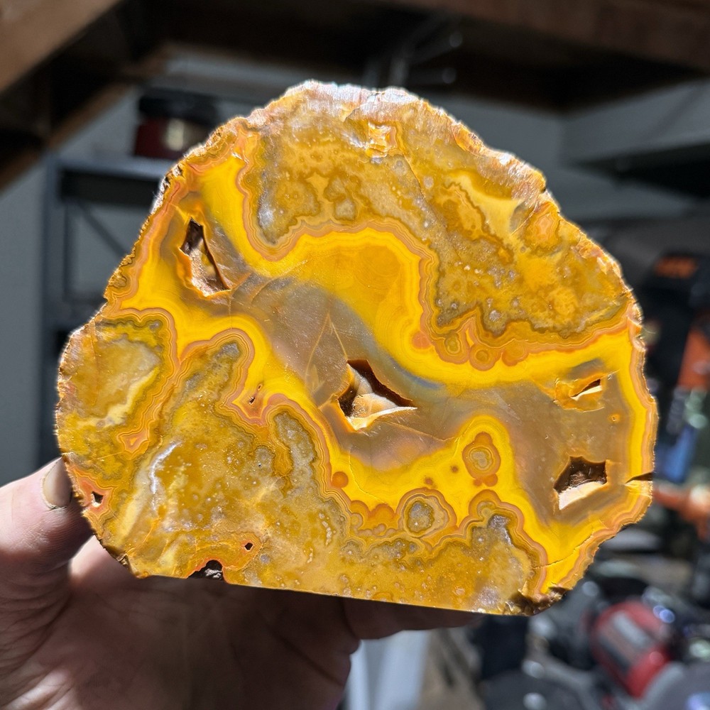 Large Polished Kentucky Agate Display Decor Bookend 2lb 11oz Statement Piece🔥