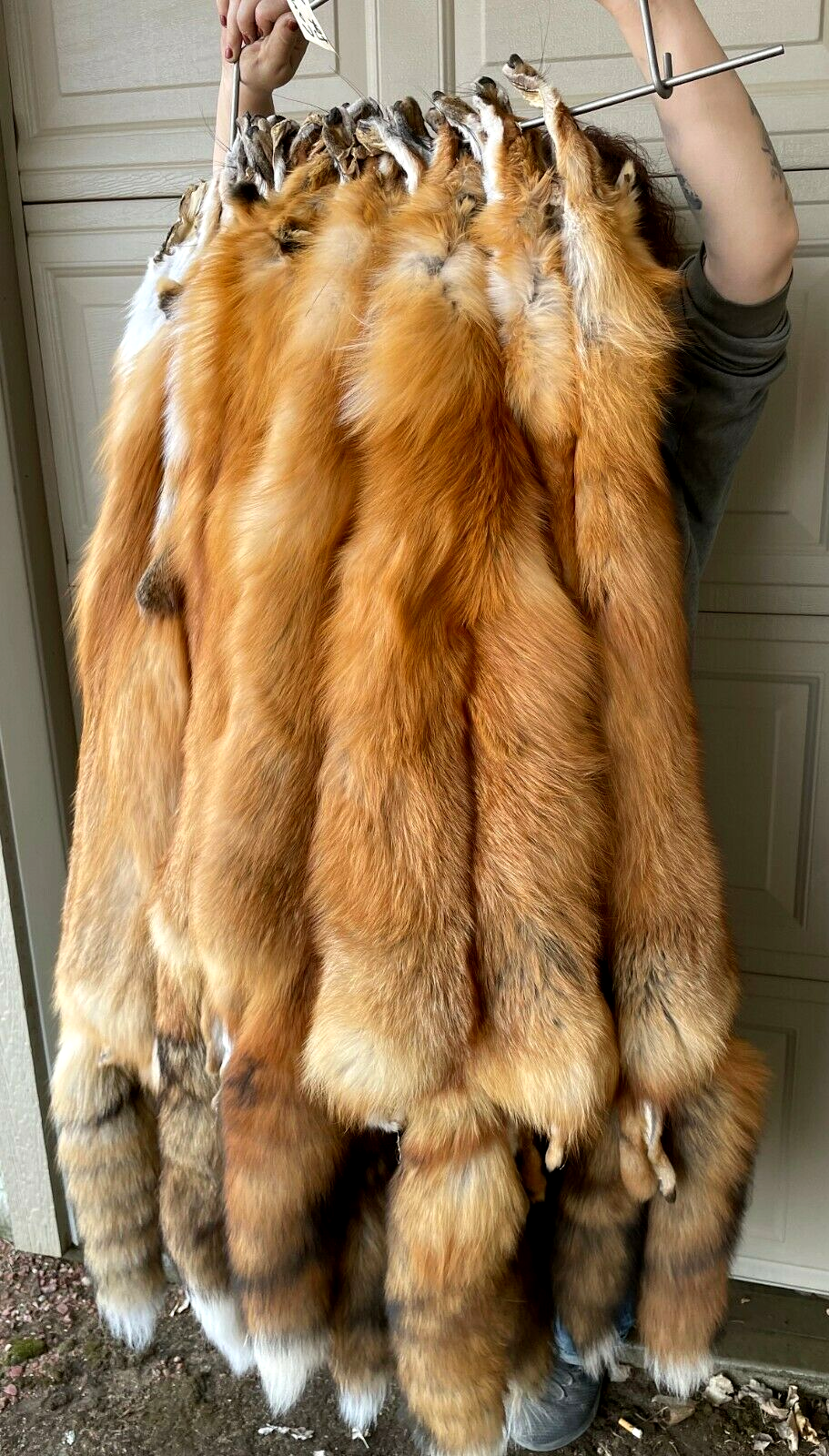 Tanned Canada Red Fox Winter “Heavy Fur” XL Pelt, Hide, Medium Grade (canrfmg)