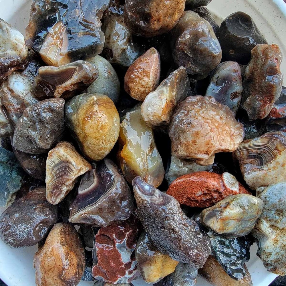 Random Pull RARE Botswana Agate Rough! Old Stock Lapidary Stone Materials!