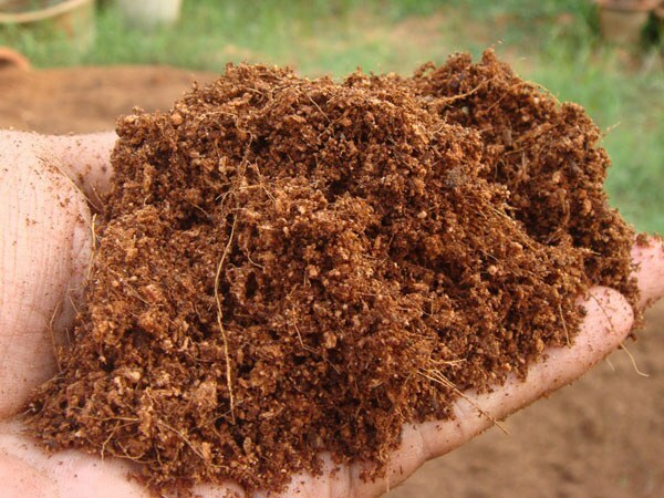 Organic Coco Coir Bricks lot 1-16 Coconut Fiber Growing Medium Potting Soil Pets