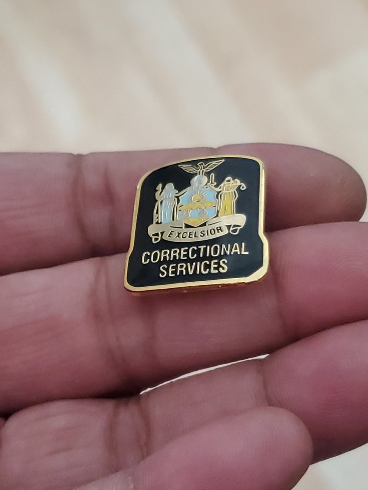 VTG New York Correctional Services Pin