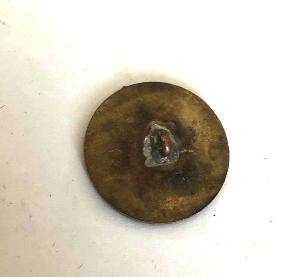 Antique Brass TURTLE Button