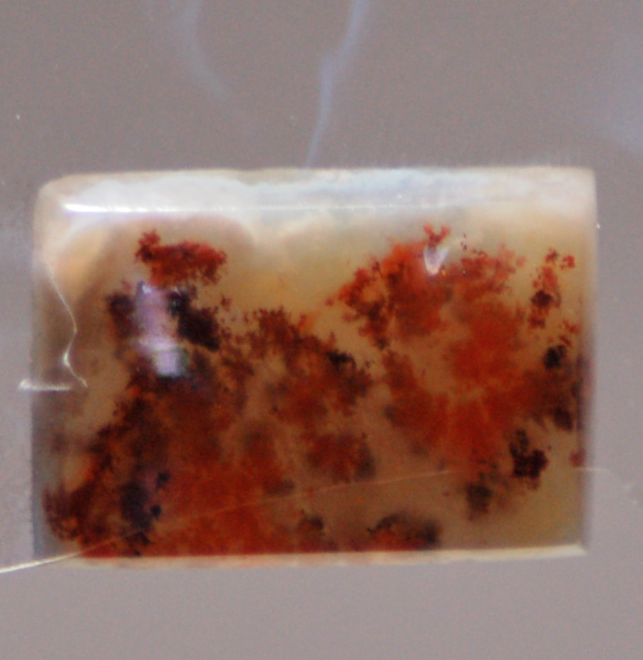 Carey Plume Agate Rectangular Cabochon 16 carats