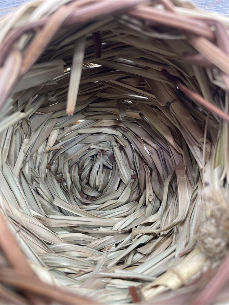 Hand Woven Grass Bird Nest {139}