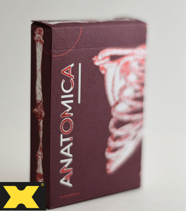 Anatomica Anatomical Playing Cards by Curio