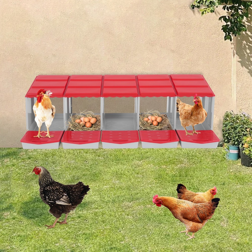 5 Compartment Chicken Nesting Box, Red Poultry Laying Hen Box for Egg Collection