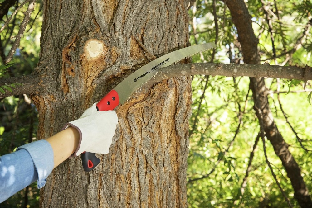 Tools 14-Inch RazorTOOTH Pruning Saw | Tree Saw Designed for Single-Hand Use ...