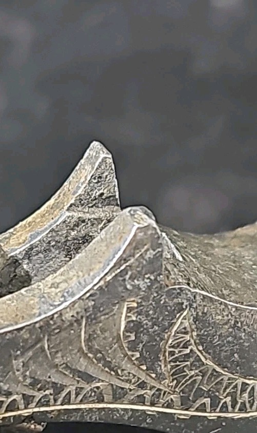 Aluminum Single Spur G1