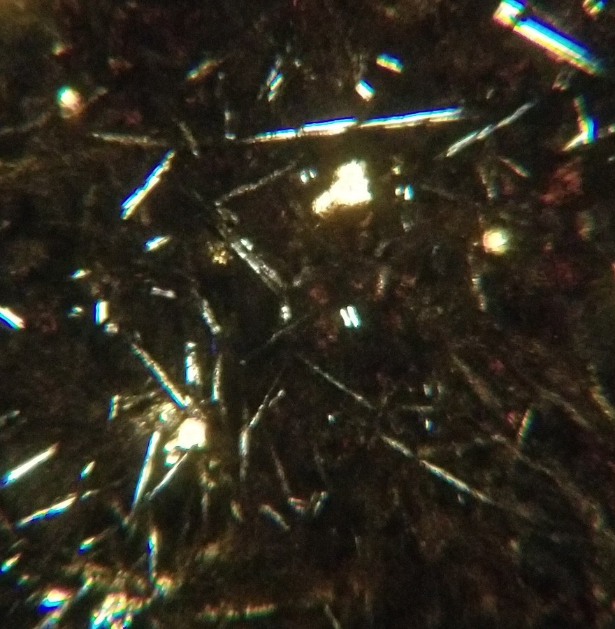 Thin-section Mount from DSDP Hole 267 Petrographic Microscope Slide 28-267-7-1