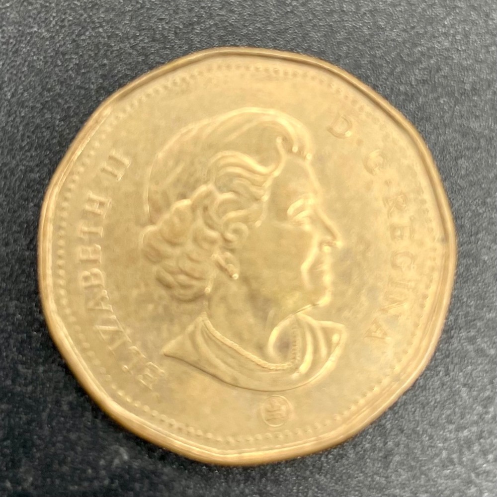 Canada 2007 Old Generation Loonie Coin