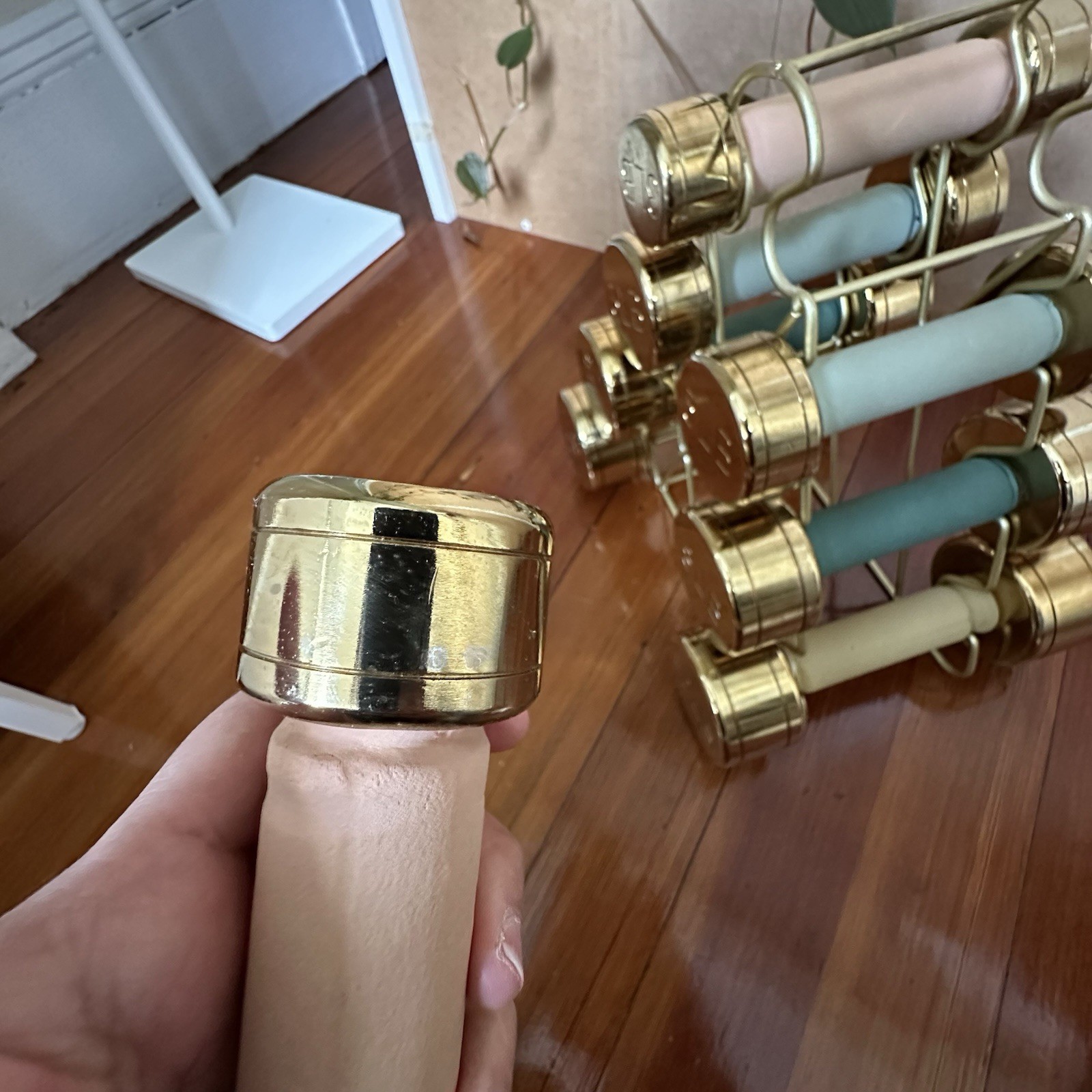 Blogilates Rare Discontinued Gold Dumbbell Weights 3lbs 5lbs 8lbs 10lbs Full Set