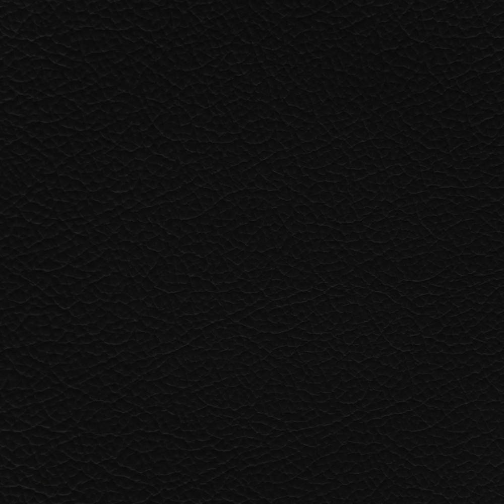 Audi Blacque/Ebony Leather Dye