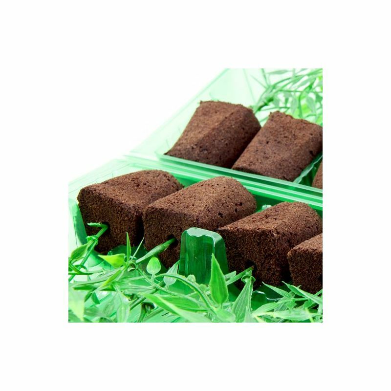 Clone Shipper - Multiple Sizes - Ship Plant Cuttings - 100Hr LEDs Optional