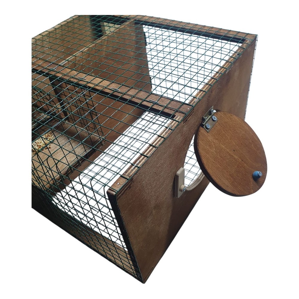 Strong Model Sparrow Bird Trap. Non Stop Condition. Elevator Type Trap Bird Live
