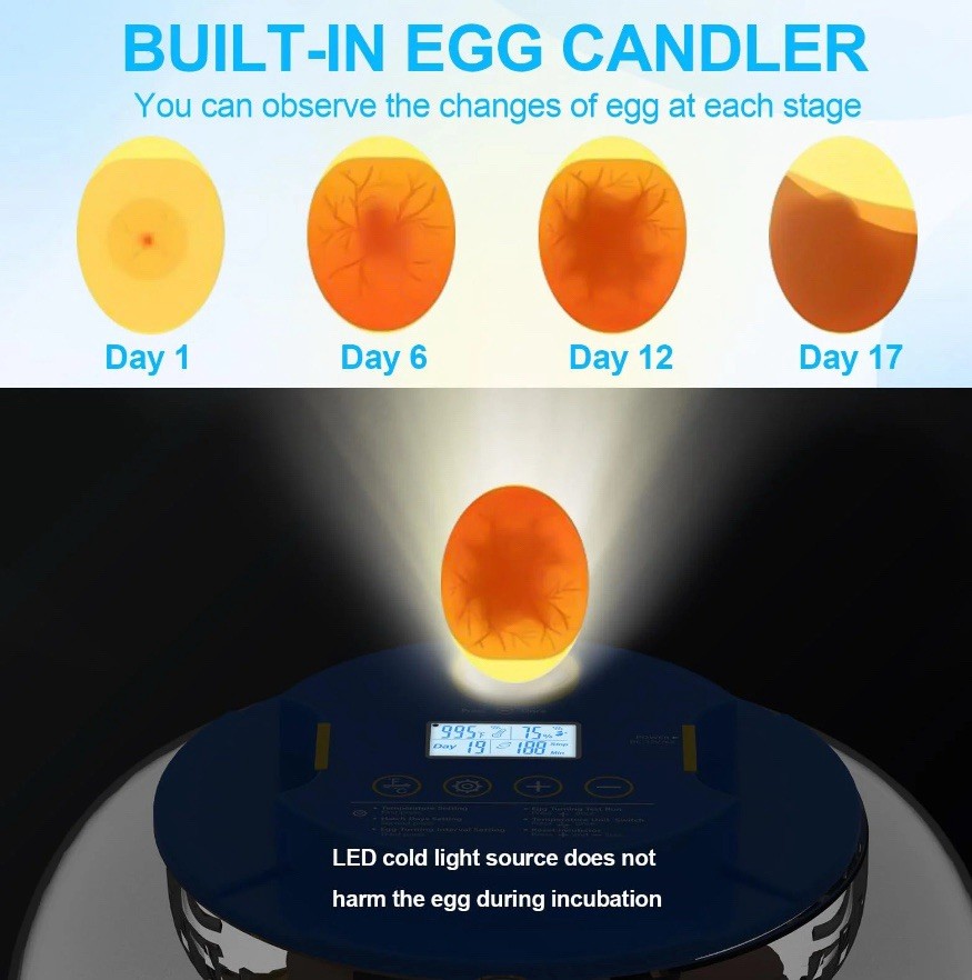 18 Egg Incubator with Automatic Egg Turning and Humidity Control, 360° View Auto