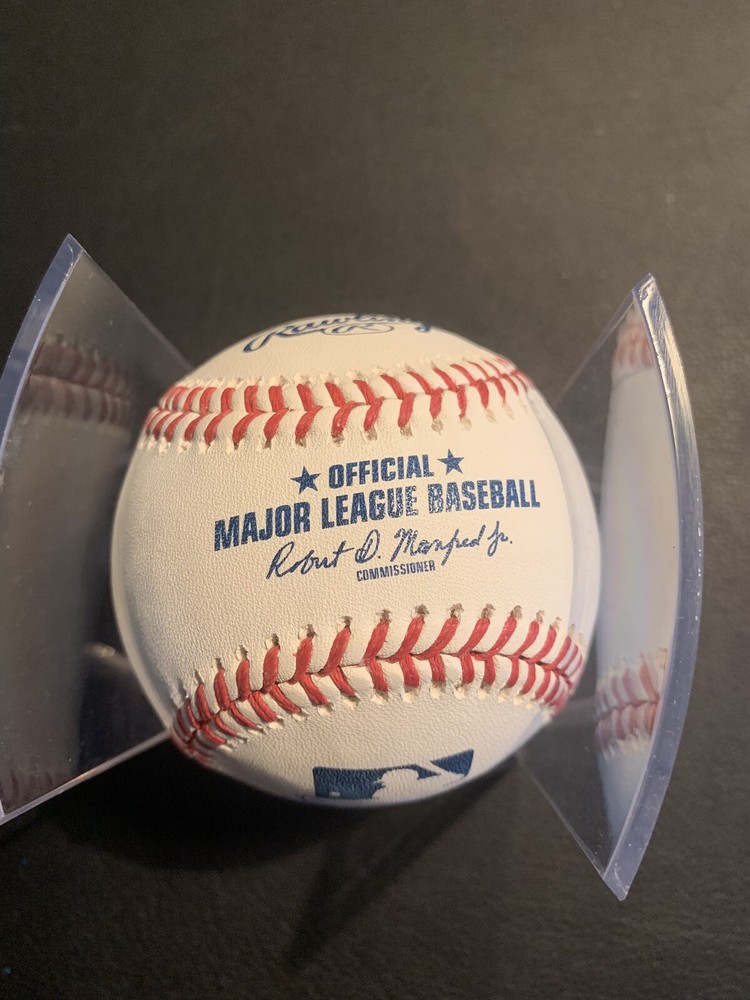 deyvison de los santos signed romlb baseball diamondbacks full name Auto