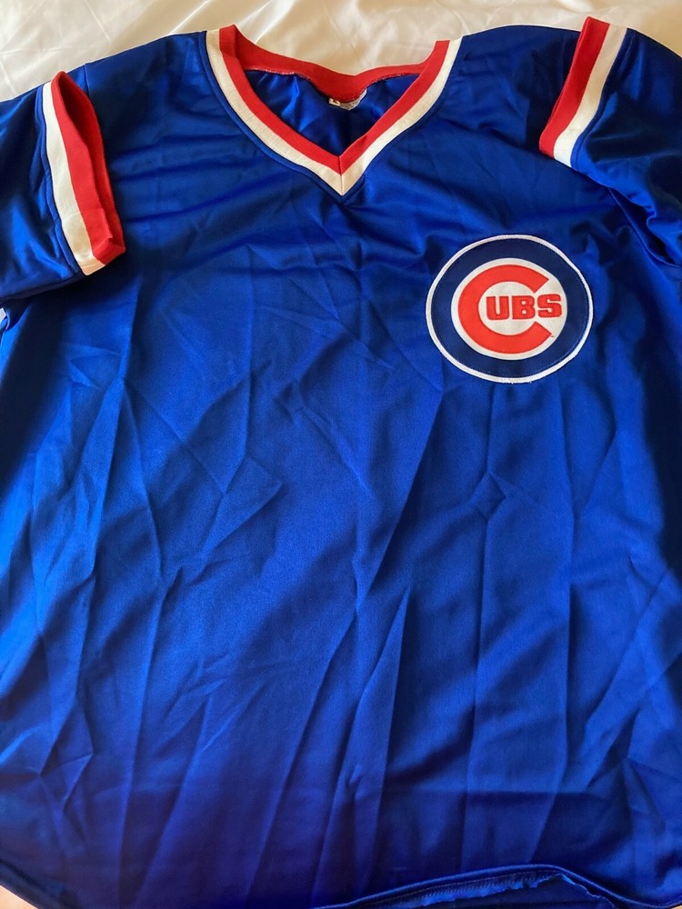 Cubs Leon Durham signed jersey with WCOA