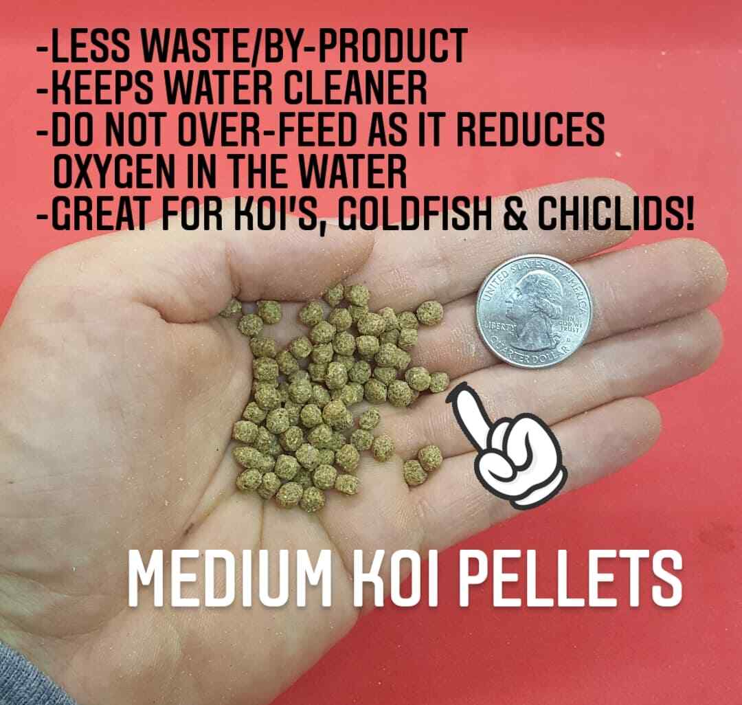 BEST Koi Chiclid Goldfish Fish Food Floating Pond Pellets Medium or Lrg *CHOOSE*