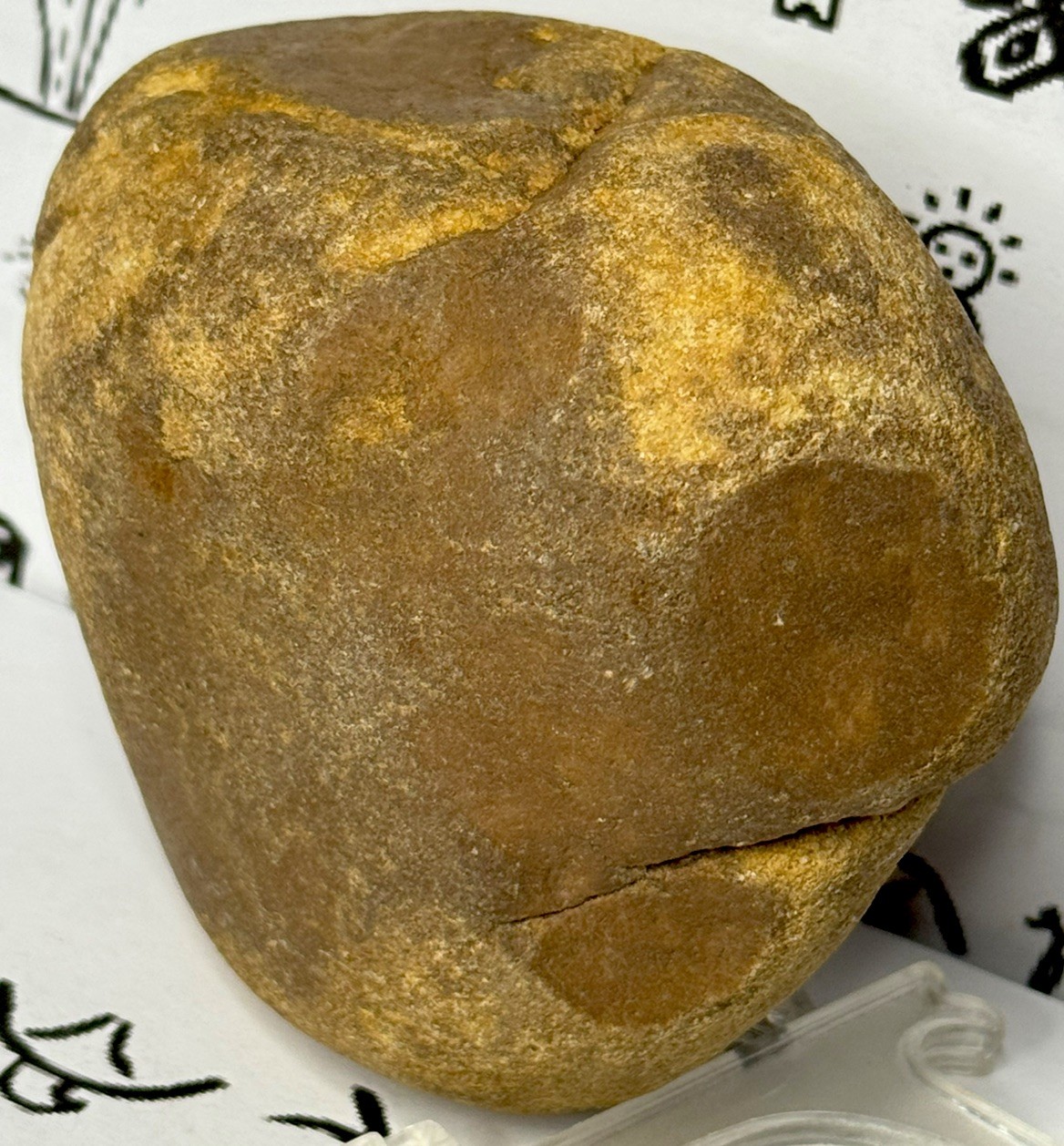 Native American Indian Authentic Artifact Stone Carved Effigy, 1 lb 10 oz • VA