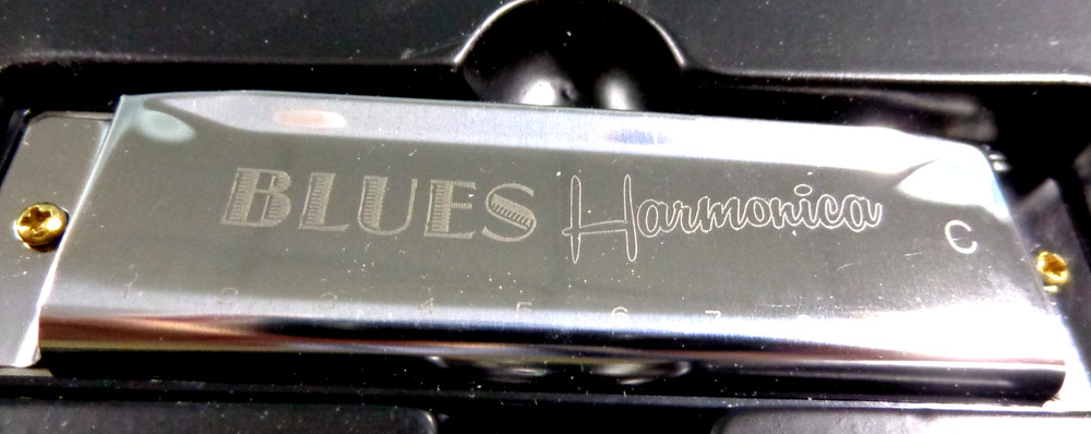 Hinkler Harmonica Learn Harmonica With Box And Instructions