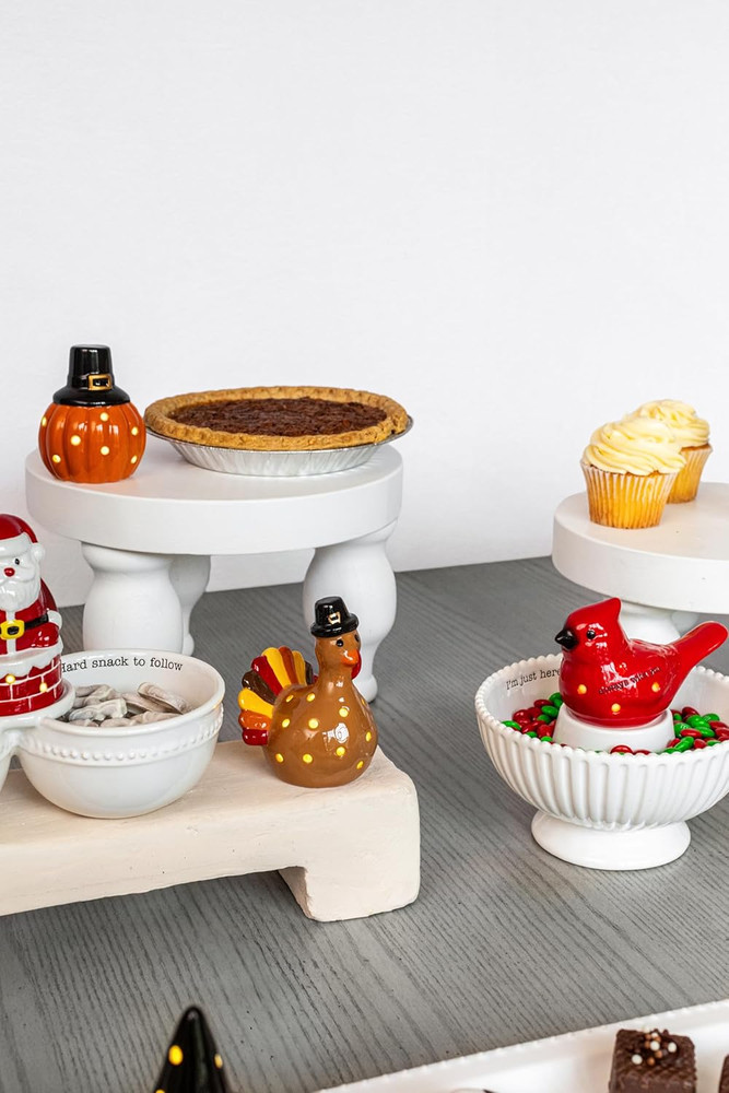Light up Holiday Sitter, Turkey | Interchangable Sitter for Base
