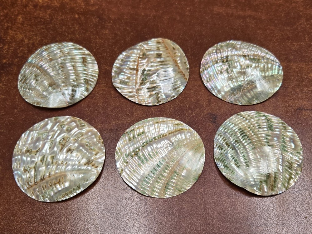 6 PCS ROUND ABALONE SHELL BLANK DISC 60MM