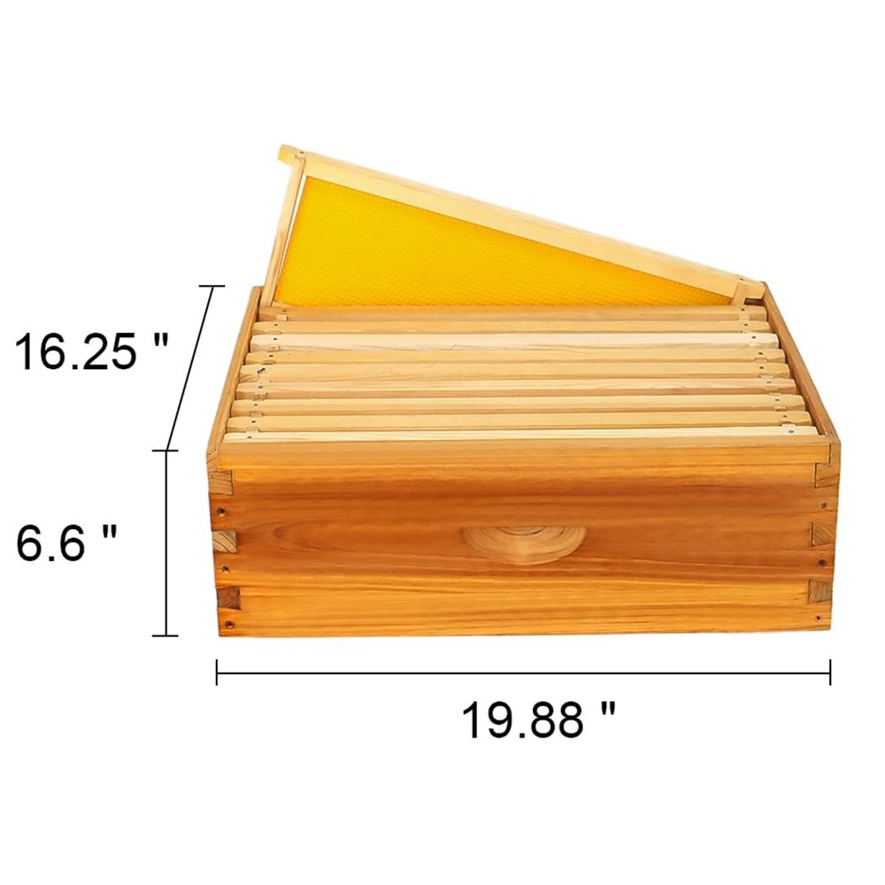 Medium Super Bee Hive Box with Frames and Waxed Foundations for Beginners