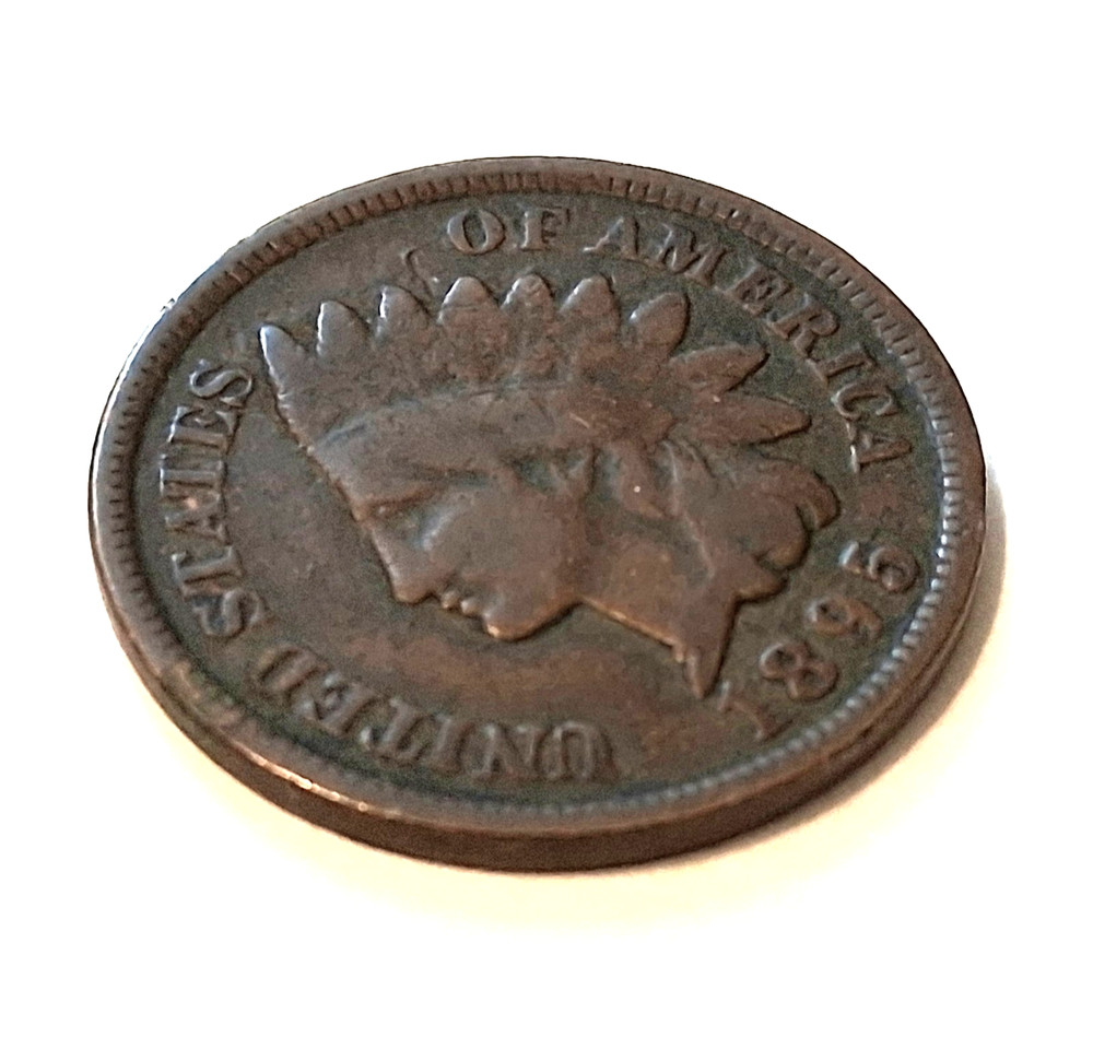 I CENT UNITED STATES 1895 PENNY