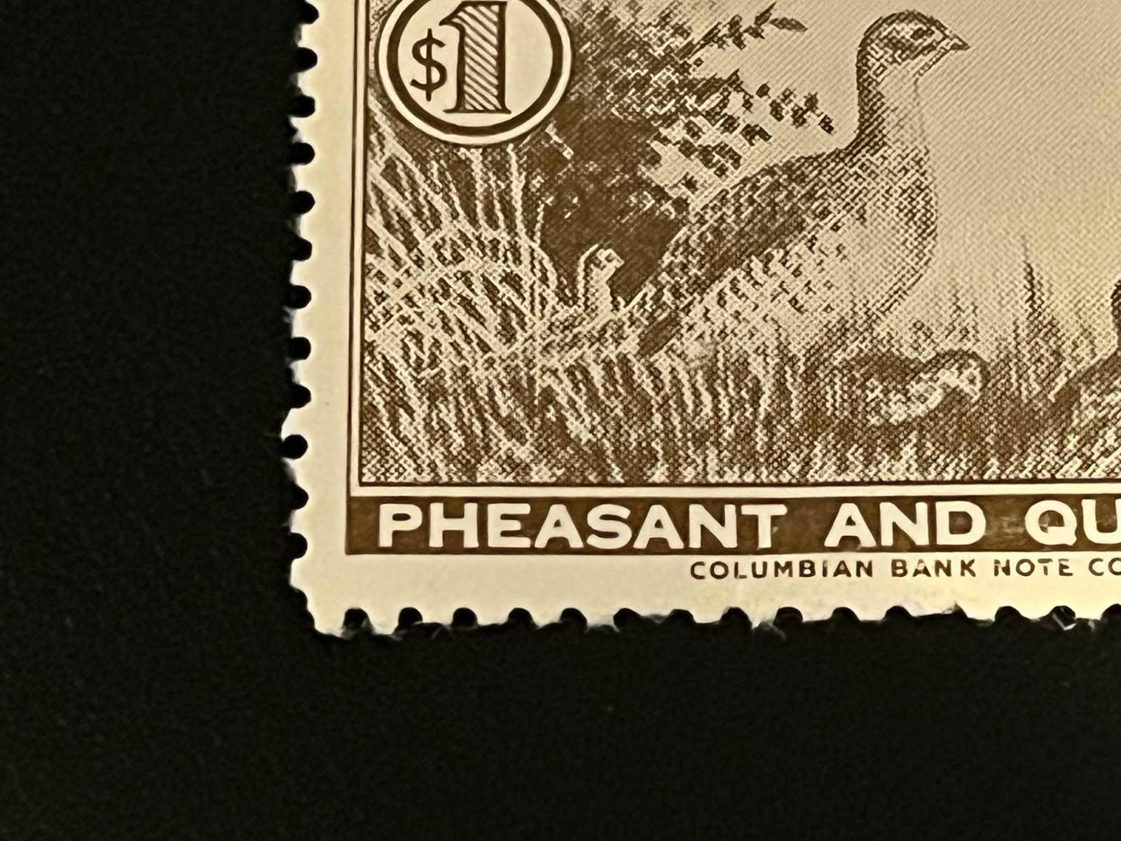 1955 NEBRASKA GAME COMMISSION PHEASANT AND QUAIL STAMP OG