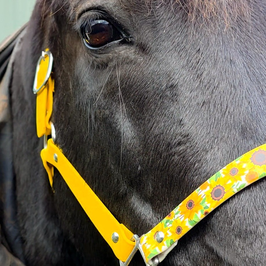 Biothane Horse Halter - Sunflowers