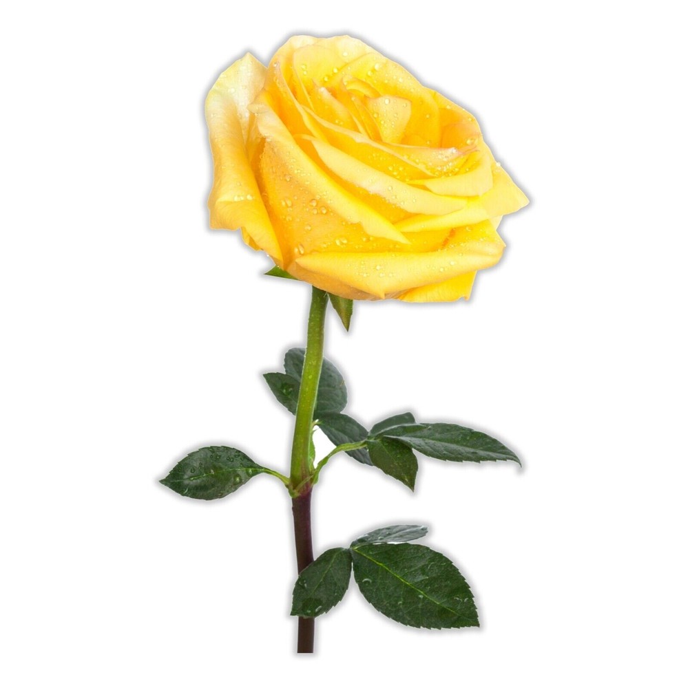 Yellow Rose Flower Sticker Decal