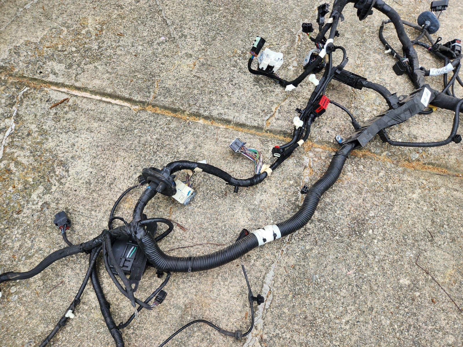 2021 - 2023 FORD MUSTANG MACH-E AWD ENGINE WIRING HARNESS OEM