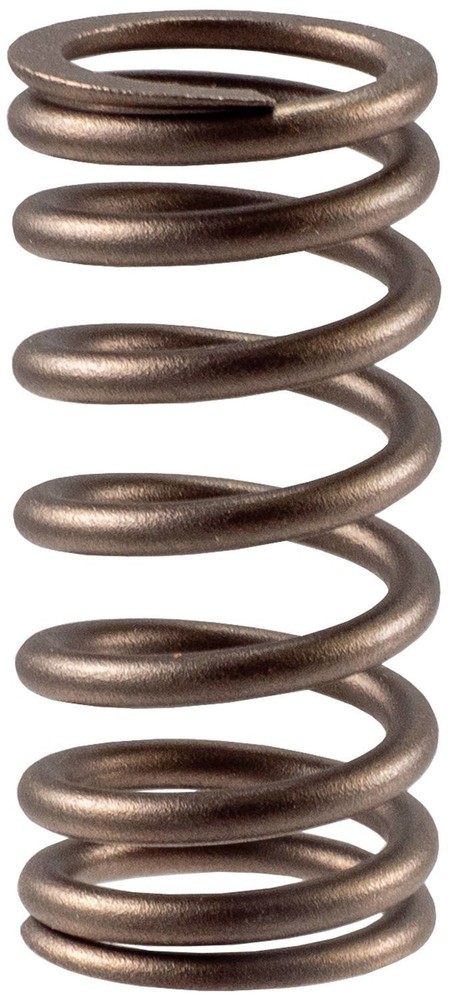 Engine Valve Spring-Stock Melling VS-1589
