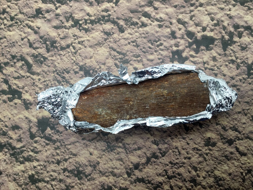 Authentic Plaster Jacket Dinosaur Bone Dig #4000