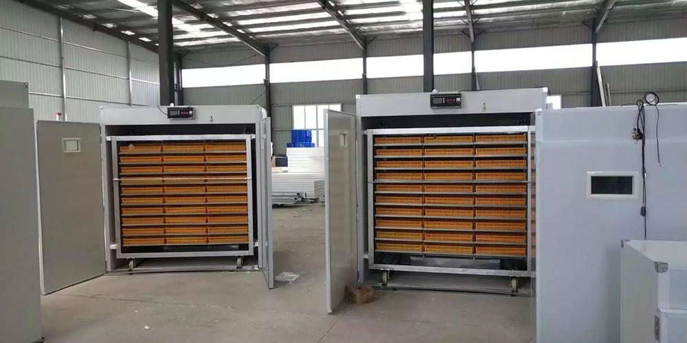Automatic Hatching Machine Chicken Duck Goose Pigeon egg incubator