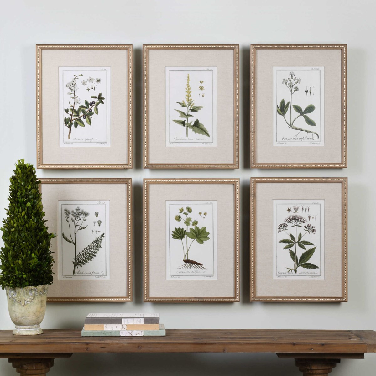 Botanical Study Leaf Berry Flower Wall Art Gold Frame Set Of 6 ~ Uttermost 33651