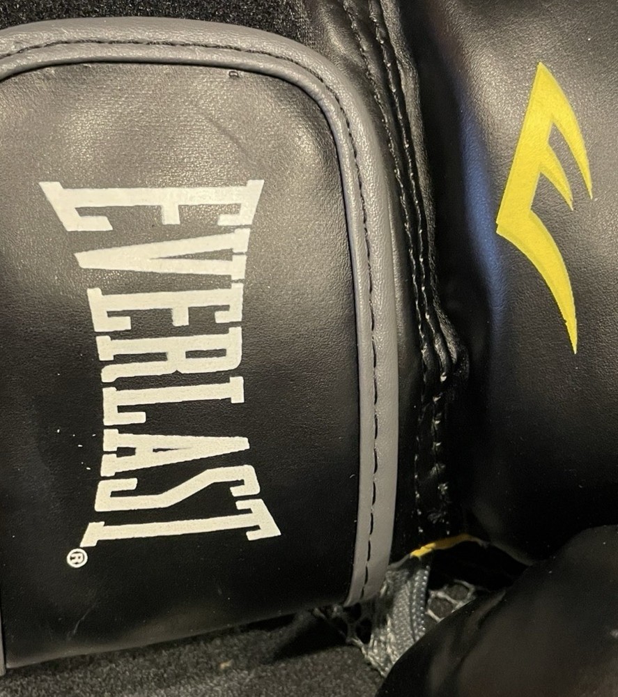Everlast Classic Boxing Training Gloves Adjustable