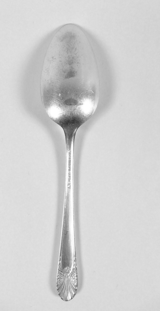 Marquette Silverplate Engraved Design Flatware Spoon