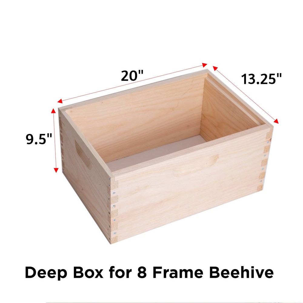 8 Frame Deep Assembled Beekeeping Box, Plastic Foundation Frames, Amish Made
