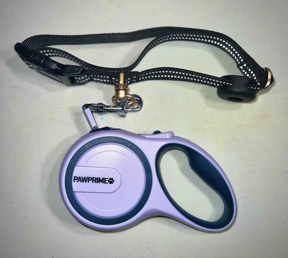 dog collar and leash set