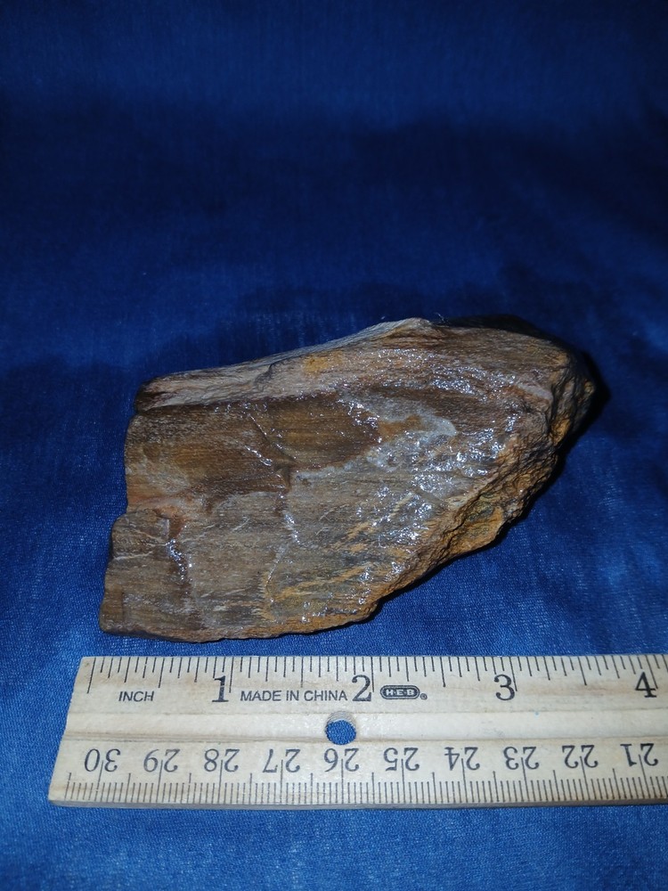 9 oz Texas Petrified Wood