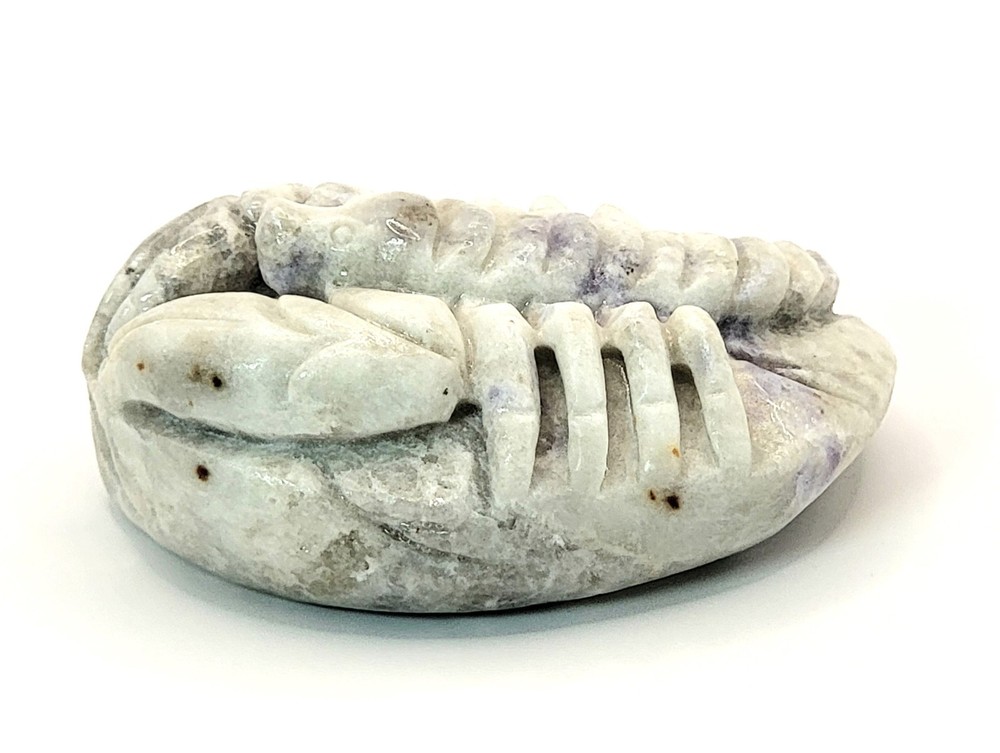 Hackmanite Scorpion Carving- UV Reactive- WYSIWYG