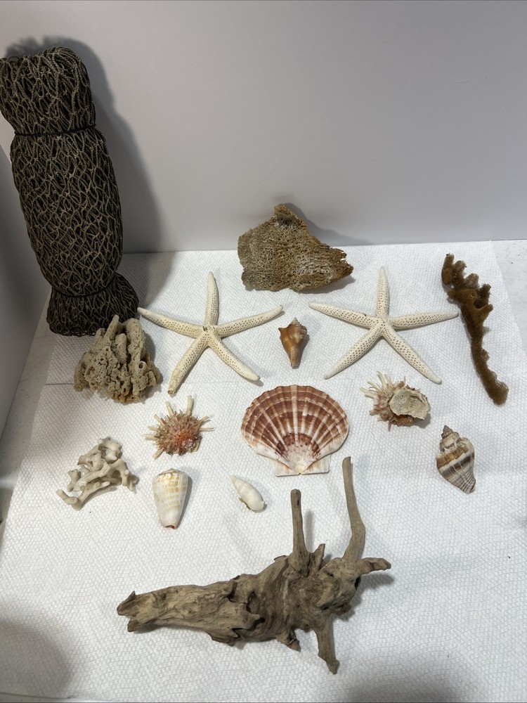 Sea Shore Items With Net. 15 Items. B5