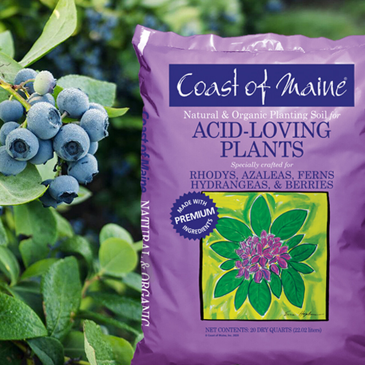 Coast of Maine Organic Potting Soil for Acid Loving Plants, 20 Qt Bag (2 Pack)