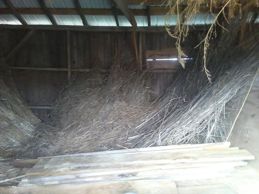 fiber hemp straw