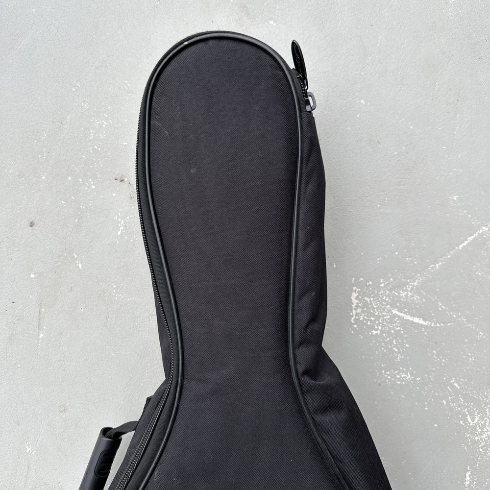 Roadrunner Mandolin Gig Bag